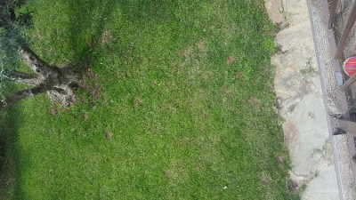20180521_111803.jpg
