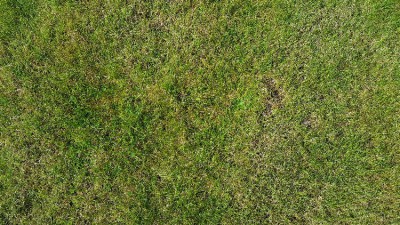 20180523_095916.jpg