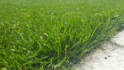 20180524_131613.jpg