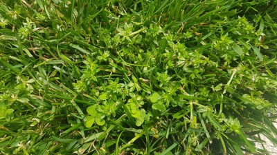 20180524_131620.jpg