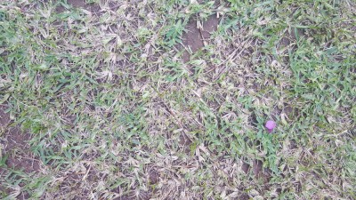 20180526_155316.jpg