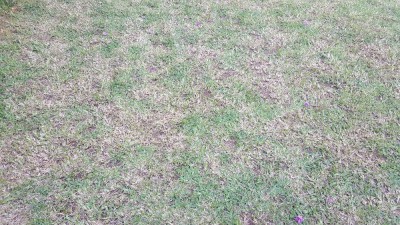 20180526_155251.jpg
