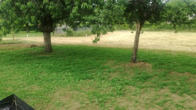 IMG_20180527_131521.jpg