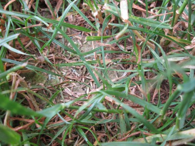 IMG_3298.JPG