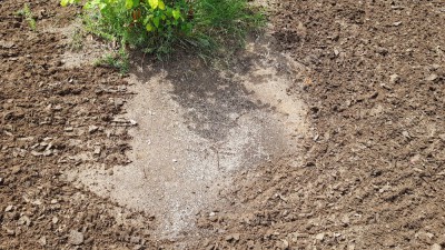20180527_115329.jpg