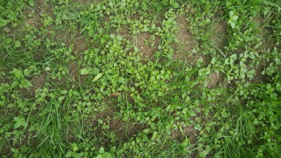 20180528_185510.jpg