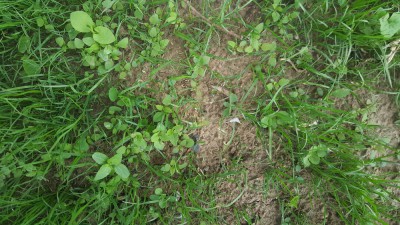 20180528_185504.jpg