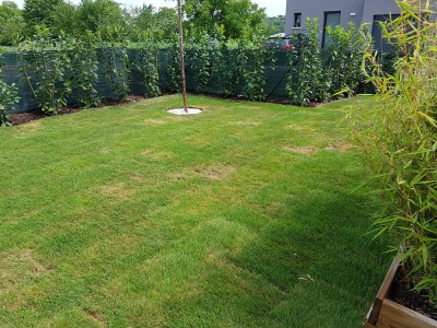 20180527_151933.jpg
