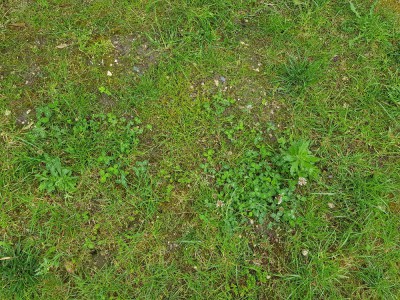 20180529_180652.jpg