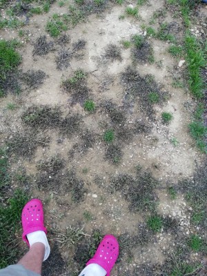 IMG_20180529_200630.jpg