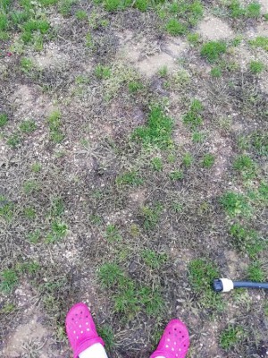 IMG_20180529_200644.jpg