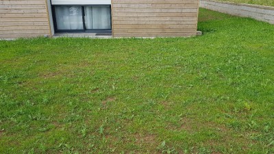 20180530_173054.jpg