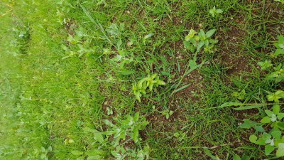 20180530_173130.jpg