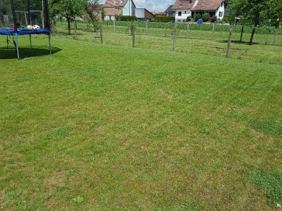 20180601_142155.jpg
