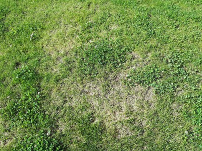 20180525_090404.jpg