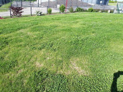20180525_090432.jpg