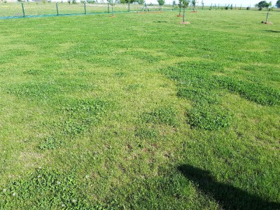 20180525_090518.jpg