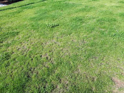 20180525_090332.jpg