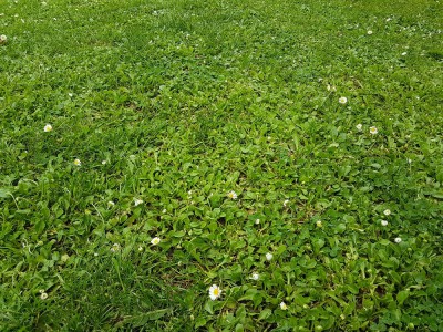 Photo 2.jpg