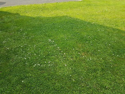 Photo 3.jpg