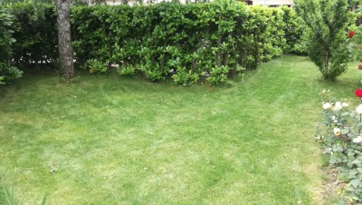 IMG_20180603_130043.jpg