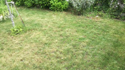 IMG_20180603_130152.jpg