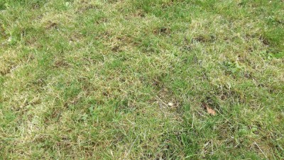 IMG_20180603_130157.jpg
