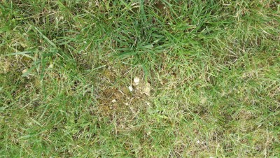 IMG_20180603_130304.jpg
