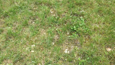 IMG_20180603_130308.jpg