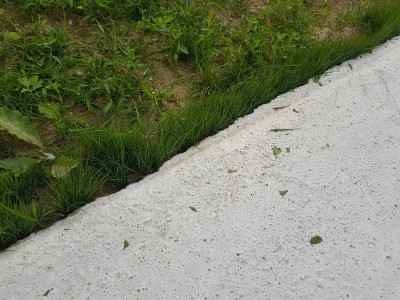 Après tonte le 30618-6.jpg