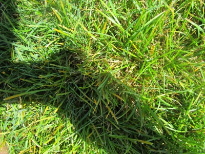 IMG_0609.JPG
