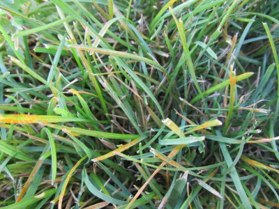 IMG_0608.JPG