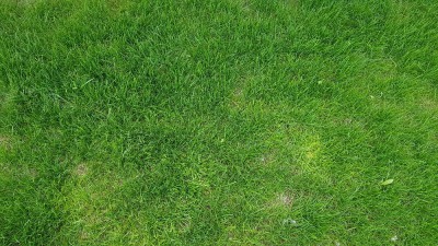 20180604_123124.jpg