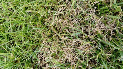 DSC_2649.JPG