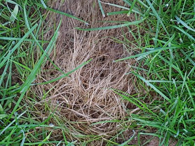 20180607_081950.jpg
