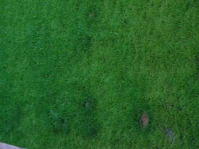 20180607_081045.jpg
