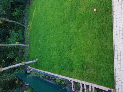 20180607_081039.jpg