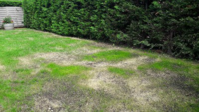 20180609_143838[1].jpg
