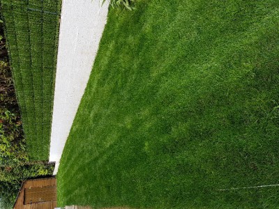 20180609_151546.jpg