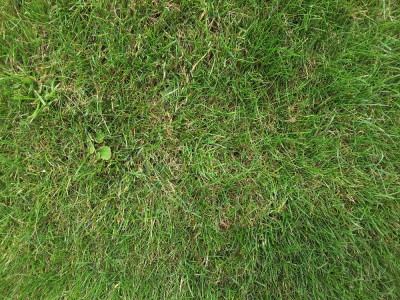 20180610_133551.jpg
