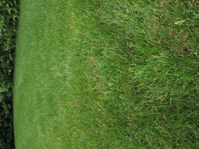 20180610_133602.jpg