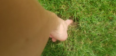 20180611_132931.jpg