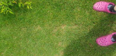 20180611_132943.jpg