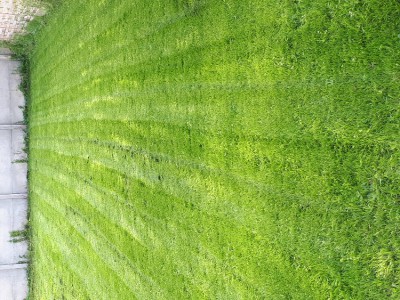 20180608_200644.jpg