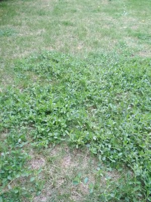 IMG_20180603_191755.jpg