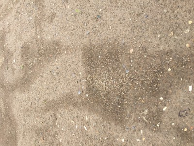 1306EBB9-0A03-4D65-AA8A-FCA8CE68B086.jpeg