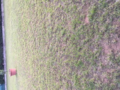 752516D3-8840-4A25-B8A4-1E8A4B1A4E15.jpeg