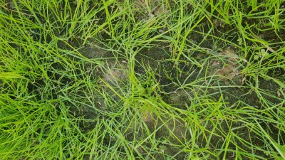 20180616_134059.jpg