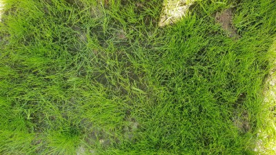 20180616_134050.jpg