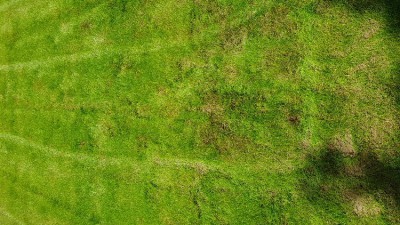 20180616_134214.jpg